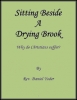 Sitting By A Drying Brook