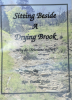 Booklet: Sitting Beside A Drying Brook